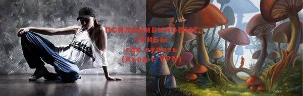 индика Баксан