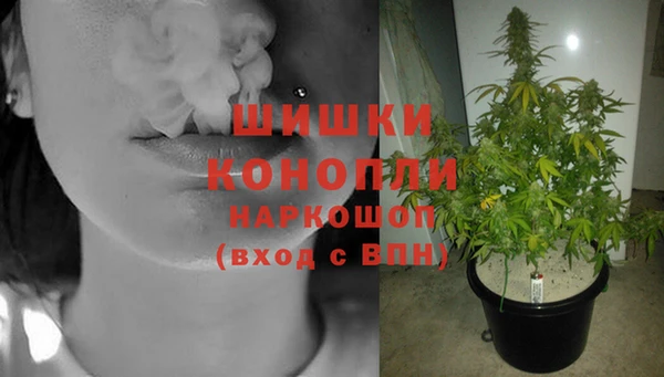 индика Баксан