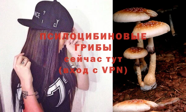 мескалин Балахна