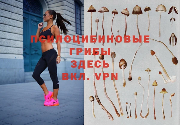 мескалин Балахна