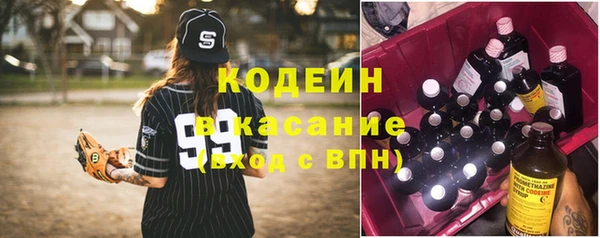 индика Баксан