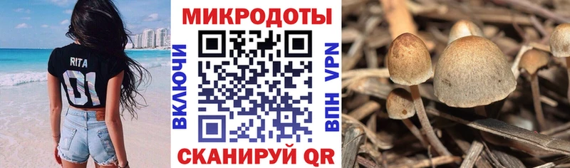 Галлюциногенные грибы мицелий  Билибино 